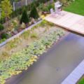 Garden Serwis Tomasz Pecyna – Zabki Garden Serwis Tomasz Pecyna – Zabki