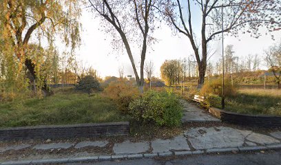 … – Dabrowa Gornicza